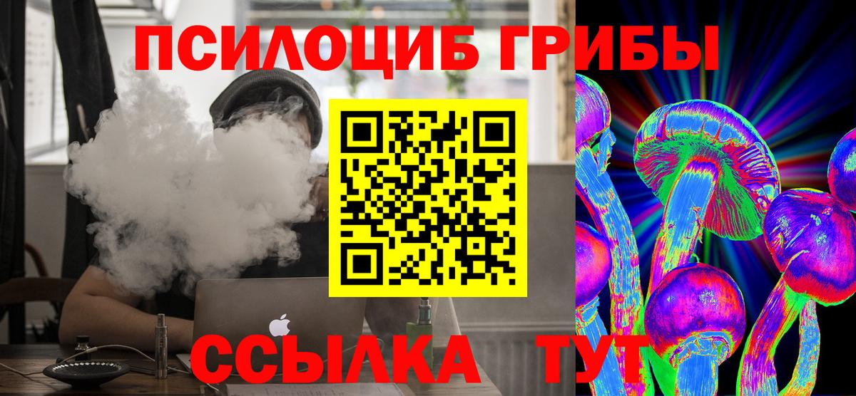 Псилоцибиновые грибы MAGIC MUSHROOMS  Вход с VPN  хочу   Зерноград 
