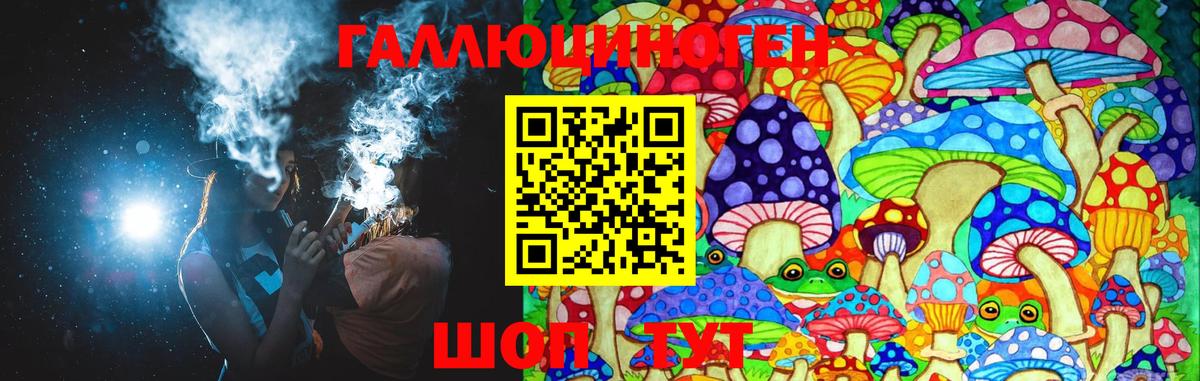 Псилоцибиновые грибы Psilocybe Зерноград